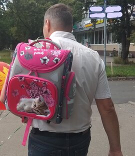 Будущим первоклассникам