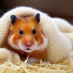 Плед вязаный. 