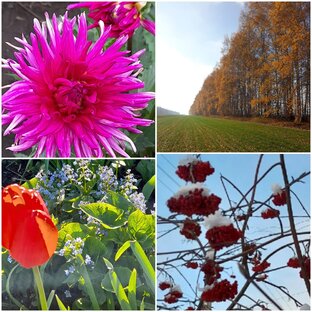 Времена года