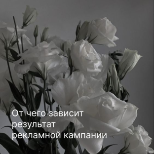 Настраиваем рекламу