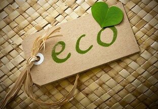 Эко-био-ЗОЖ. Много терминов