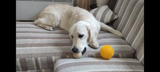 Грета в доме! 