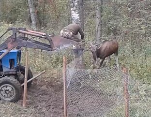 Происшествия