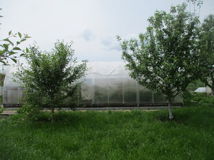 Наша теплица