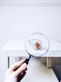 АтД - атопический дерматит у взрослых и детей