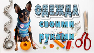 Собачьи лайфхаки
