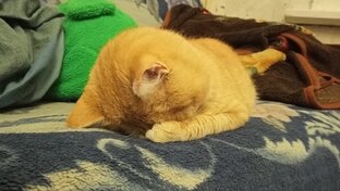 Плач Ярославны.