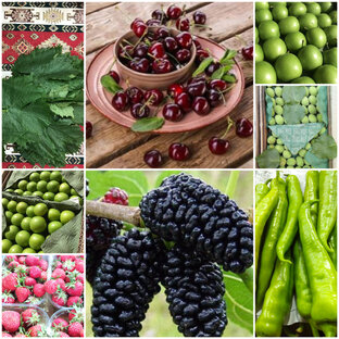 Вкусные продукты питания.