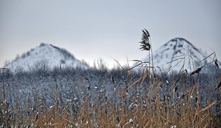 НЕНУЖНЫЕ ЛЮДИ. ИЗ ЦИКЛА "ДОНБАССКИЕ ИСТОРИИ".