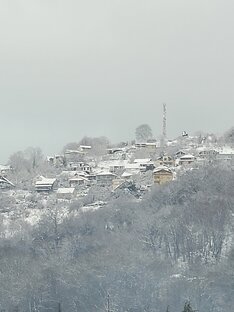 Снежная зима в субтропиках Сочи