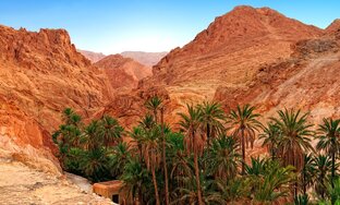 Другие страны