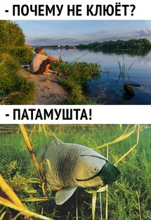 Мои рыбалки