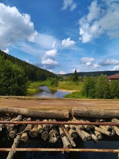 Сарана