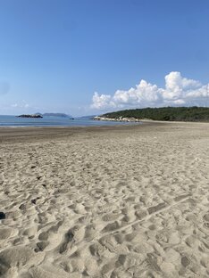 Море