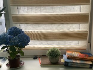 Семейные отношения 