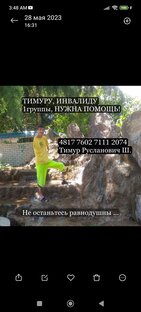 Ради бога