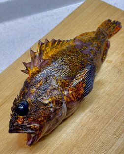 Морепродукты 