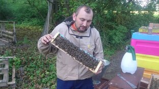 Пчеловодство Германии Imker DE