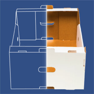 ИНТЕРЕСНОЕ