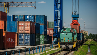 Ж/Д 35-50 ДНЕЙ