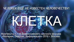 Клетка организма