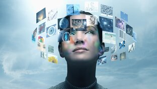 Мои любимые авторы