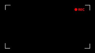 СКИБИДИ ТУАЛЕТЫ