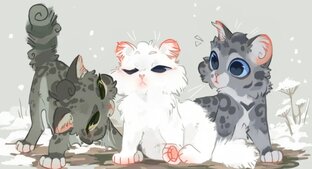 Красивые эдиты  и видео✨