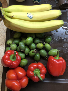 #дневниковое