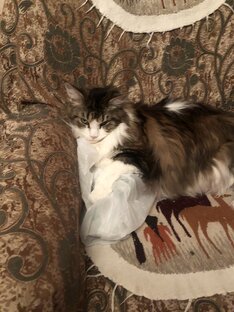 Итоги недели 