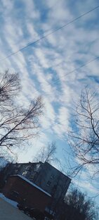 Варя и сахарок