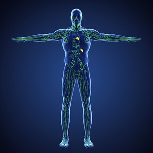 #спортнаука