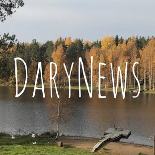 Дзен DaryNews статистика