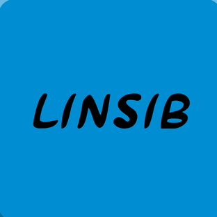 Статистика Дзен LINSIB
