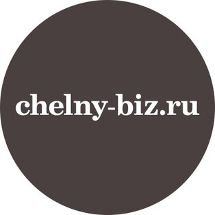 Статистика Дзен Chelny-biz.ru