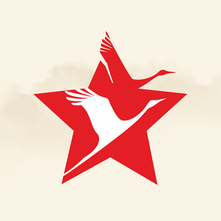 Дзен Бессмертный полк статистика