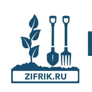 Статистика Дзен Огород с Андреем Зимариным