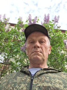 Статистика Дзен Политически несерьёзно