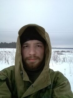 Статистика Дзен В погоне за эмоциями
