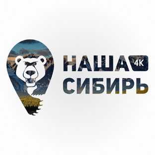 Статистика Дзен Наша Сибирь 4К
