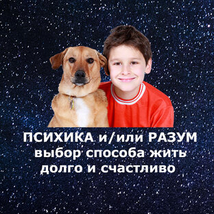 Статистика Дзен От выживания к жизни | Лаборатория перехода