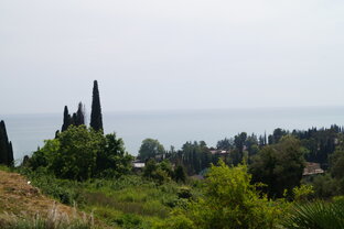 Дзен Элен и все-все-все...))) статистика