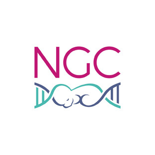 Статистика Дзен NGC | Шаг навстречу счастью