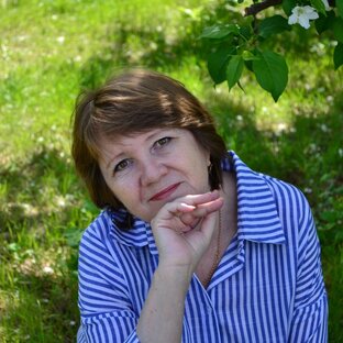 Статистика Дзен Эффект попутчика. Алёна Шульева