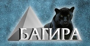 Статистика Дзен www.bagira.spb.ru Акриловые коробочки, колпаки, лотки, витрины, накопители, ячейки, контейнеры, диспенсеры и другие изделия из акрила.