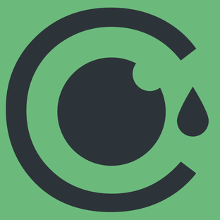 Статистика Дзен CleanCam
