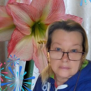 Статистика Дзен антонина чумакова 