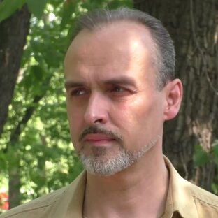 Статистика Дзен Андрей Шигин
