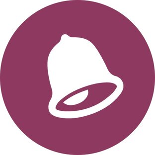 Дзен BellNews статистика