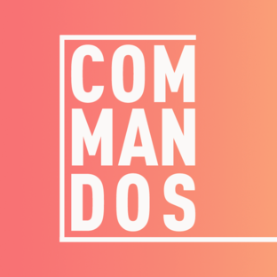 Дзен COMMANDOS статистика